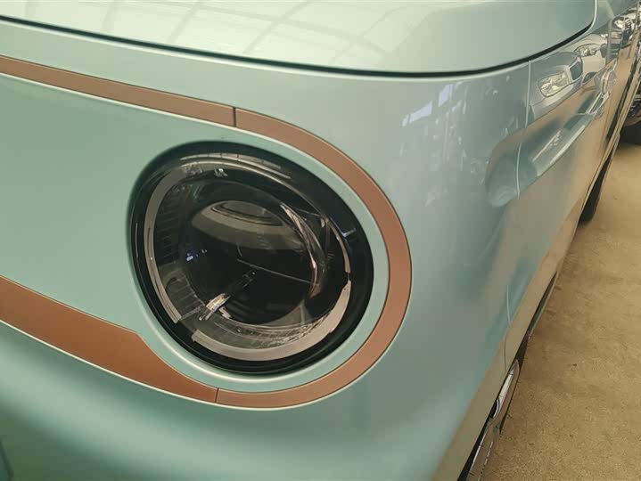 Geely Galaxy Panda Mini 2023 2023款 熊猫mini 200km 耐力熊