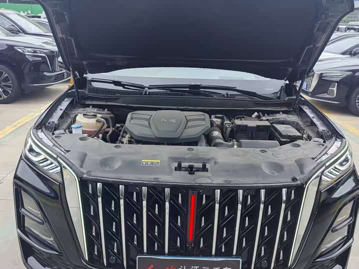 Hongqi HS5 2025 2025款 2.0T 四驱玄影版