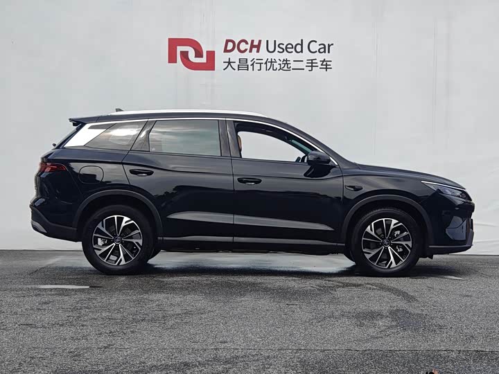 BYD Song Pro Hybrid 2025 2025款 第二代 智驾版 DM-i 115KM超越型
