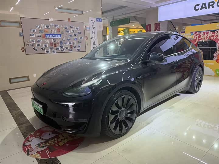 Tesla Model Y 2022 2022款 Performance高性能全轮驱动版