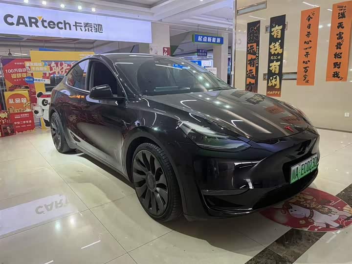 Tesla Model Y 2022 2022款 Performance高性能全轮驱动版