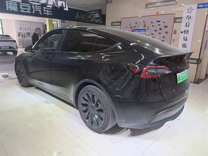 Tesla Model Y 2022 2022款 Performance高性能全轮驱动版