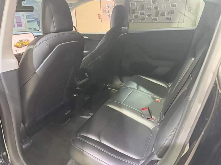Tesla Model Y 2022 2022款 Performance高性能全轮驱动版