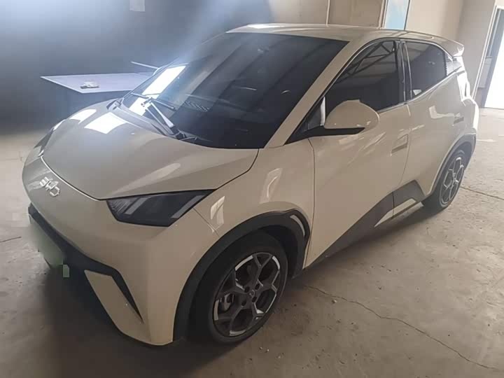 Zdjęcie 2 - BYD Seagull