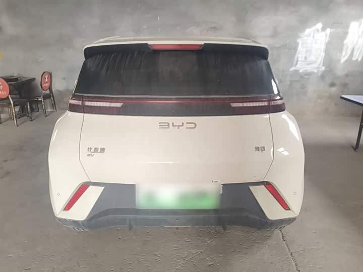 Zdjęcie 6 - BYD Seagull