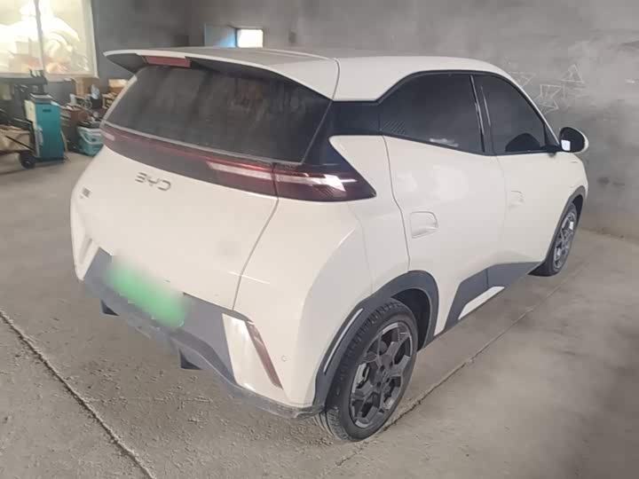 Zdjęcie 7 - BYD Seagull