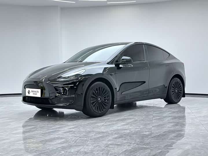 Tesla Model Y 2022 2022款 改款 长续航全轮驱动版