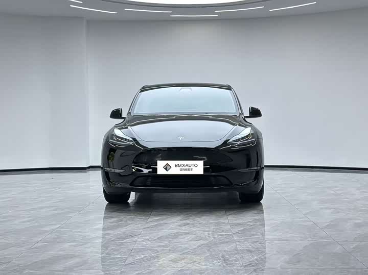 Tesla Model Y 2022 2022款 改款 长续航全轮驱动版