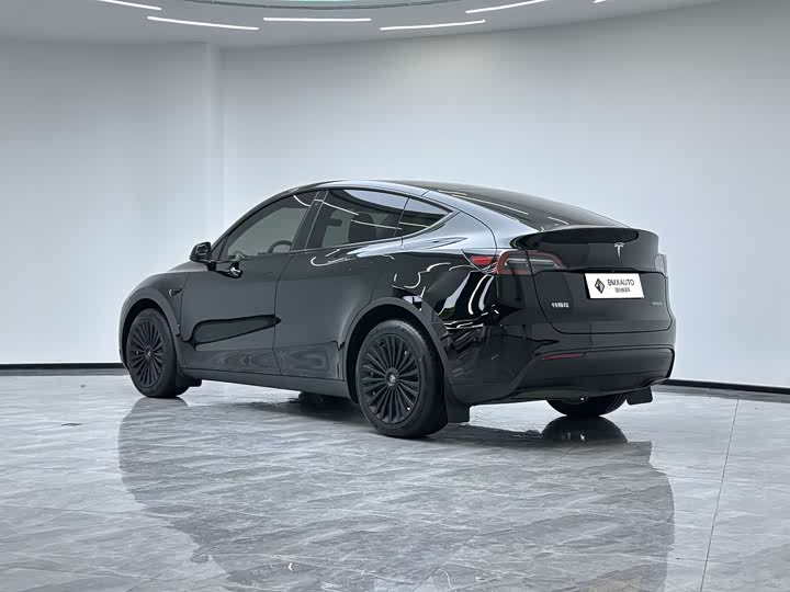 Tesla Model Y 2022 2022款 改款 长续航全轮驱动版