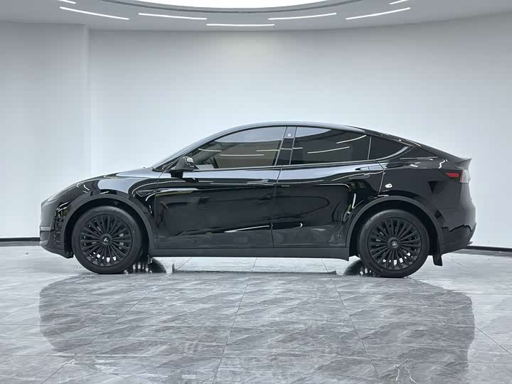 Tesla Model Y 2022 2022款 改款 长续航全轮驱动版