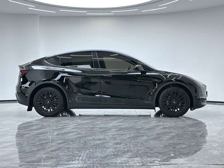 Tesla Model Y 2022 2022款 改款 长续航全轮驱动版