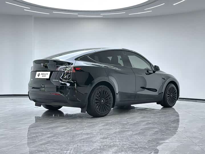 Tesla Model Y 2022 2022款 改款 长续航全轮驱动版