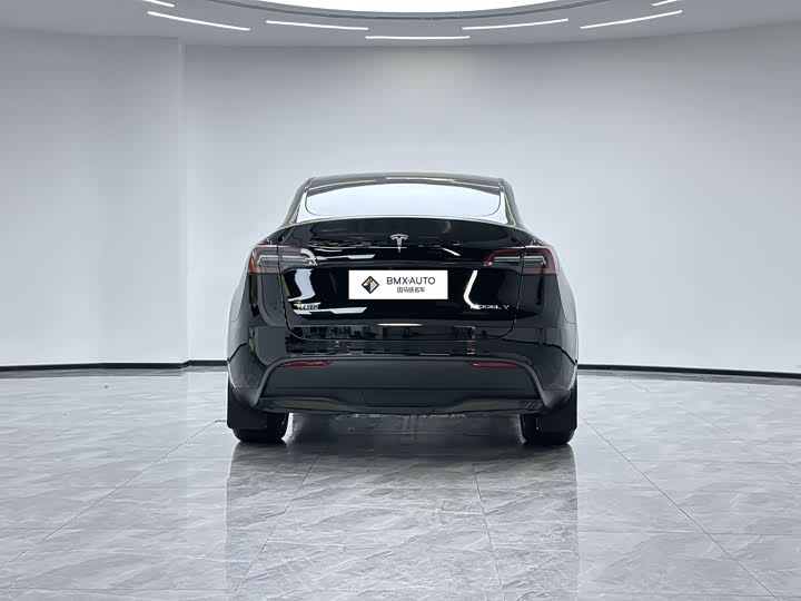 Tesla Model Y 2022 2022款 改款 长续航全轮驱动版