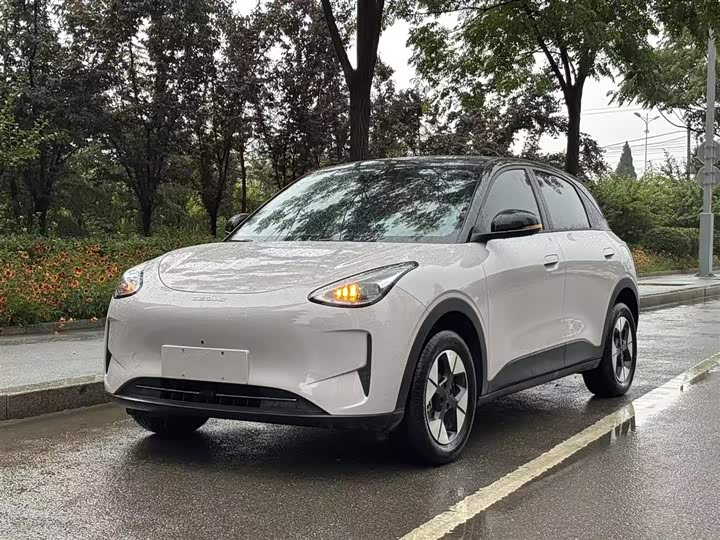 Geely Galaxy Geome 2026 2026款 410km 自由版