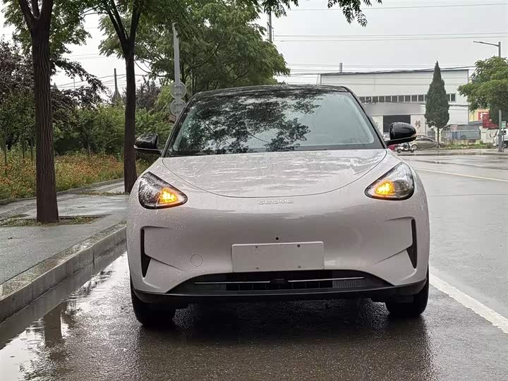 Geely Galaxy Geome 2026 2026款 410km 自由版