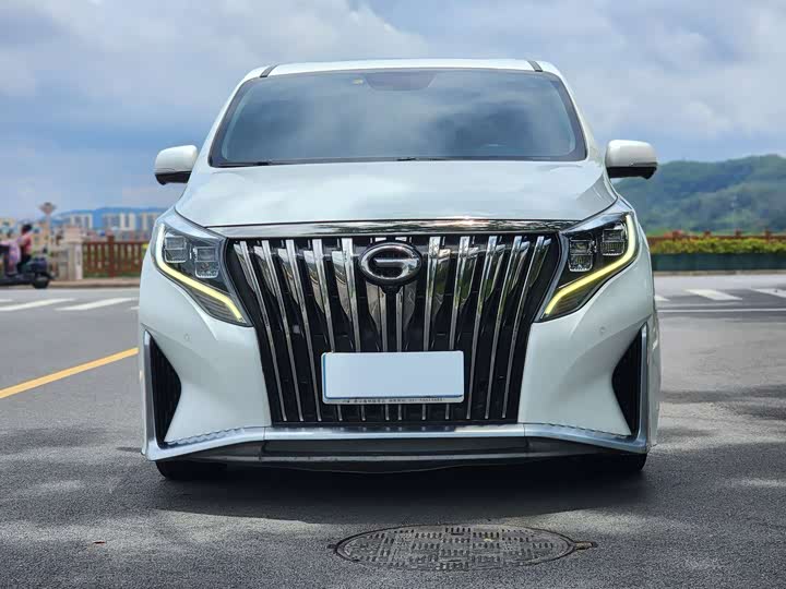 GAC Trumpchi M8 2021 2021款 大师系列 390T 至尊版