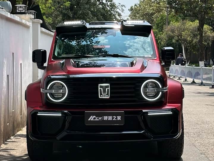 Фото 2 - Tank 300