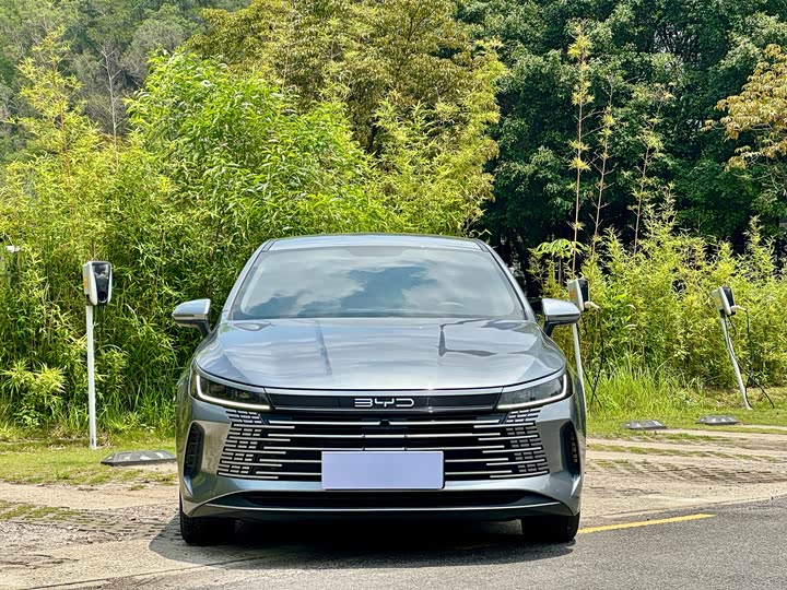 BYD Destroyer 05 2024 2024款 荣耀版 DM-i 55KM 豪华型