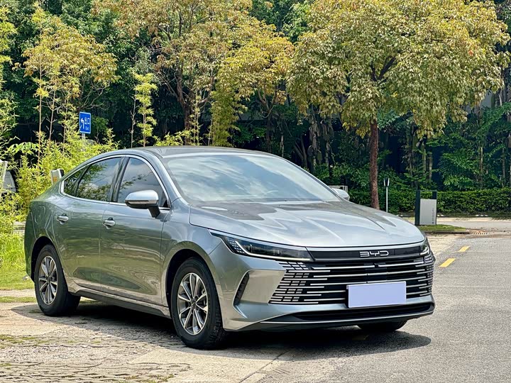BYD Destroyer 05 2024 2024款 荣耀版 DM-i 55KM 豪华型
