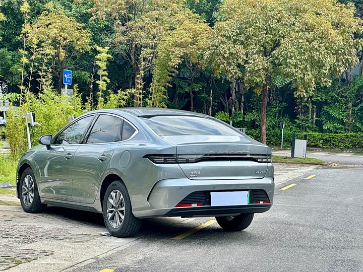 BYD Destroyer 05 2024 2024款 荣耀版 DM-i 55KM 豪华型