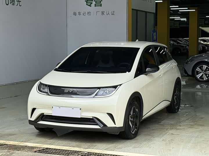 2025 BYD Dolphin
