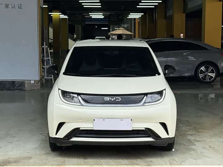 2025 BYD Dolphin