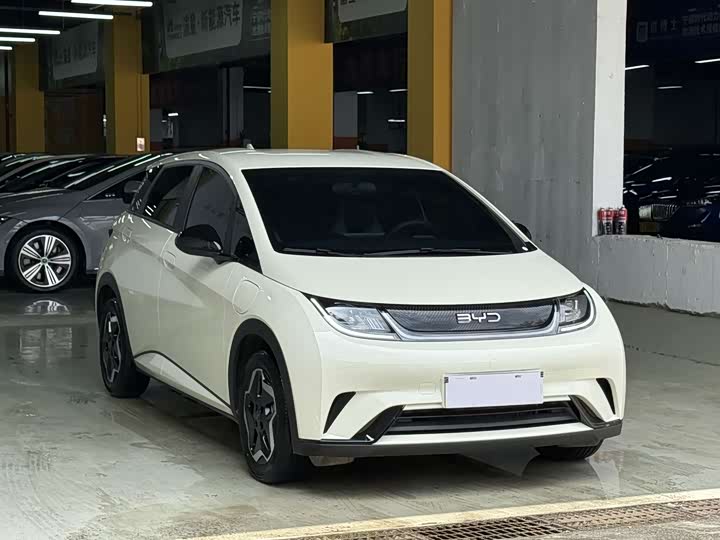 2025 BYD Dolphin