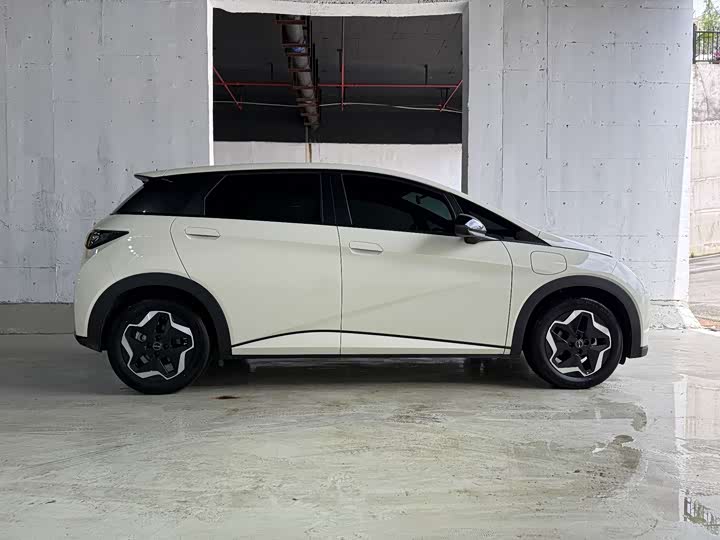 2025 BYD Dolphin