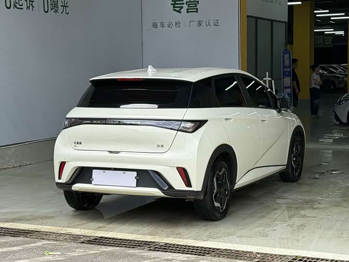 2025 BYD Dolphin