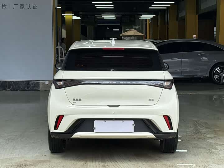 BYD Dolphin 2025 2025款 420km 活力版