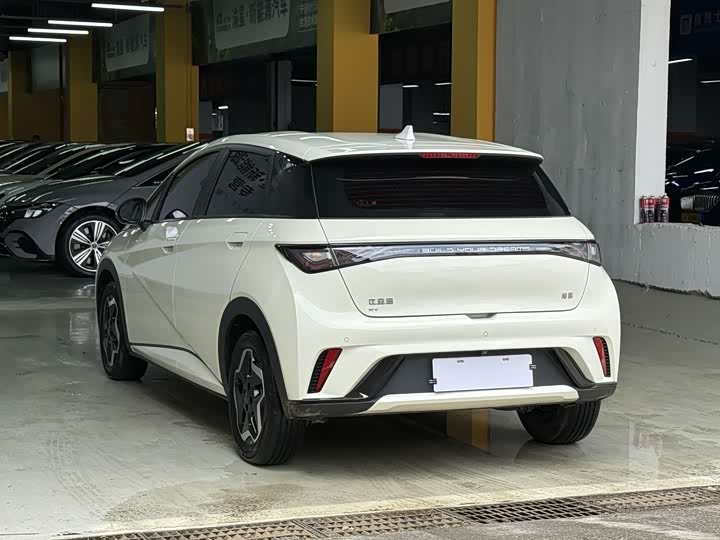 BYD Dolphin 2025 2025款 420km 活力版