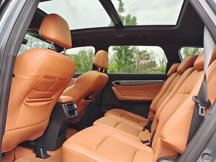 Geely Okavango L 2024 2024款 2.0T DCT旗舰型