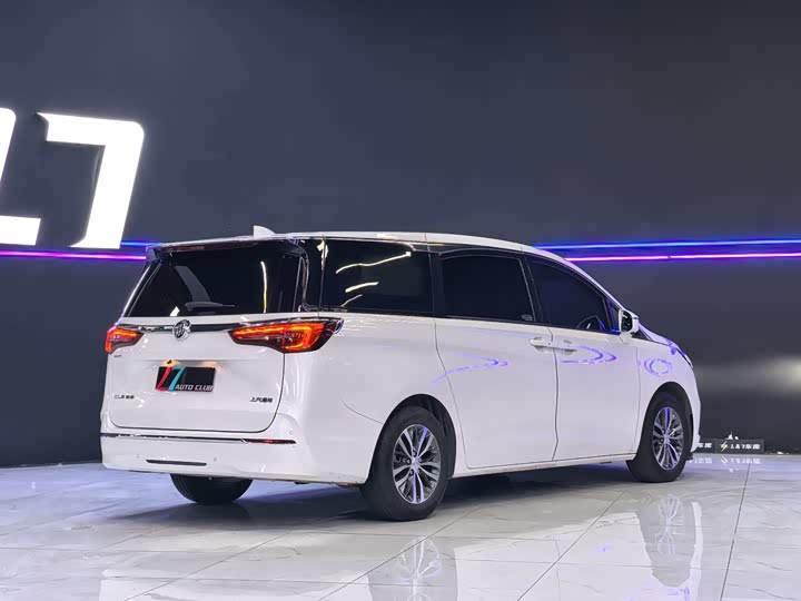 Zdjęcie 4 - Buick GL8 ES