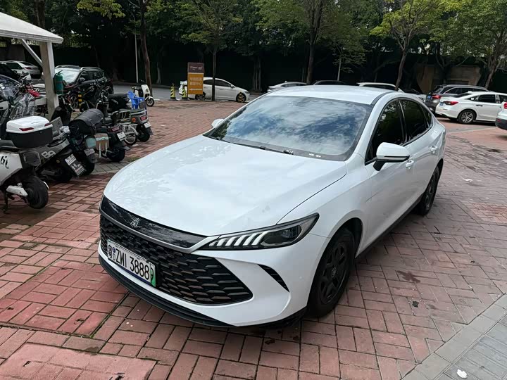 BYD Qin Plus 2025 2025款 DM-i 智驾版 55KM领先型
