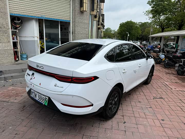 BYD Qin Plus 2025 2025款 DM-i 智驾版 55KM领先型