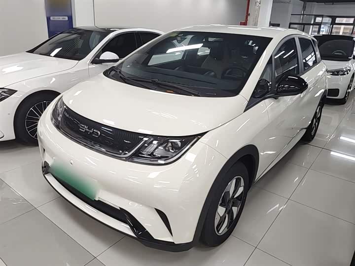 BYD Dolphin 2025 2025款 420km 自由版