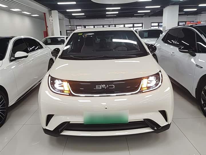 BYD Dolphin 2025 2025款 420km 自由版