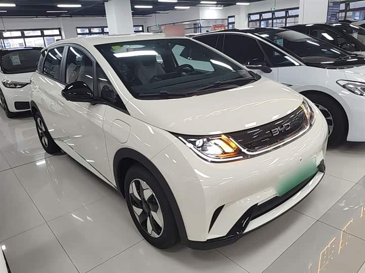 BYD Dolphin 2025 2025款 420km 自由版