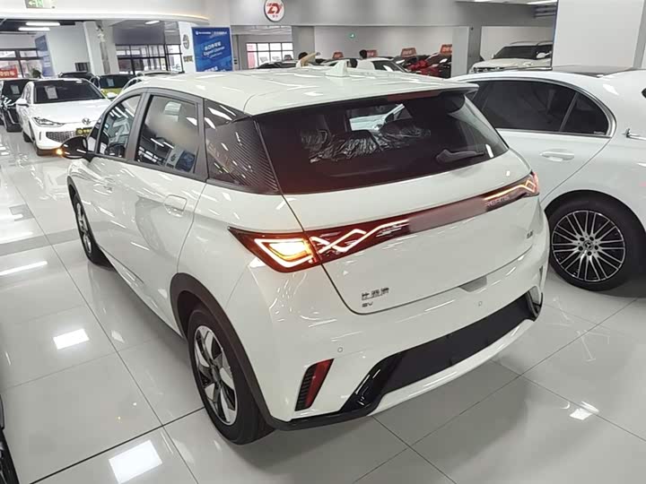 BYD Dolphin 2025 2025款 420km 自由版