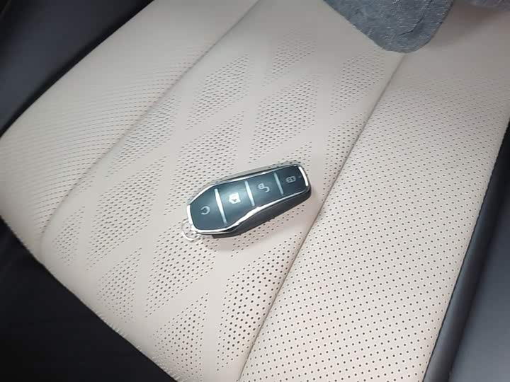 BYD Dolphin 2025 2025款 420km 自由版