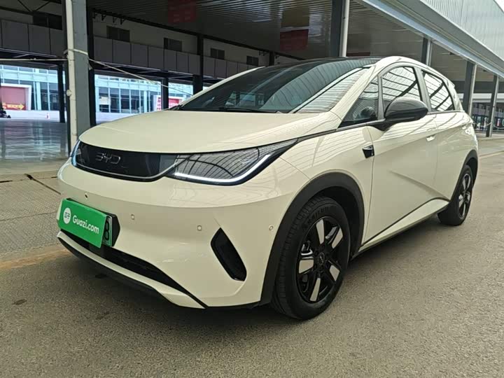 BYD Dolphin 2025 2025款 智驾版 410km 时尚版