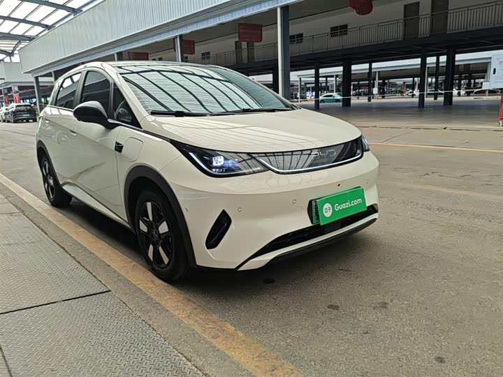 BYD Dolphin 2025 2025款 智驾版 410km 时尚版