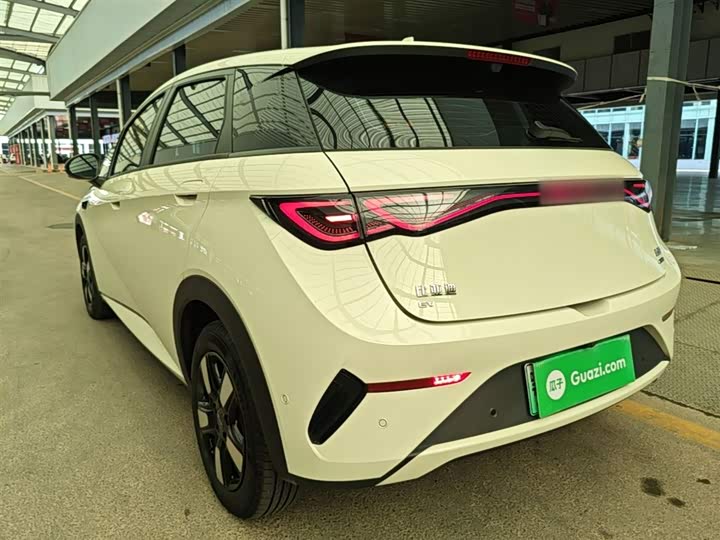 BYD Dolphin 2025 2025款 智驾版 410km 时尚版