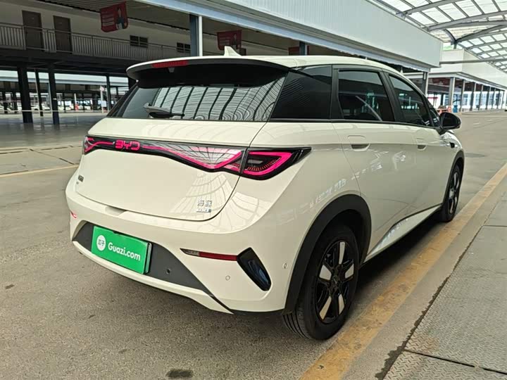 BYD Dolphin 2025 2025款 智驾版 410km 时尚版