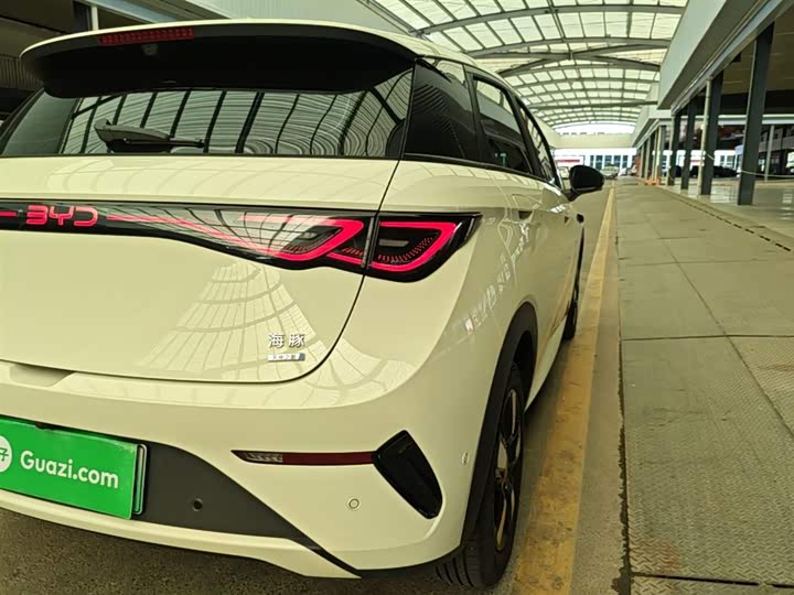 BYD Dolphin 2025 2025款 智驾版 410km 时尚版