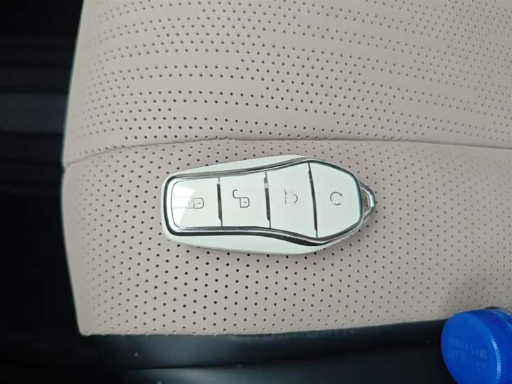 BYD Dolphin 2025 2025款 智驾版 410km 时尚版