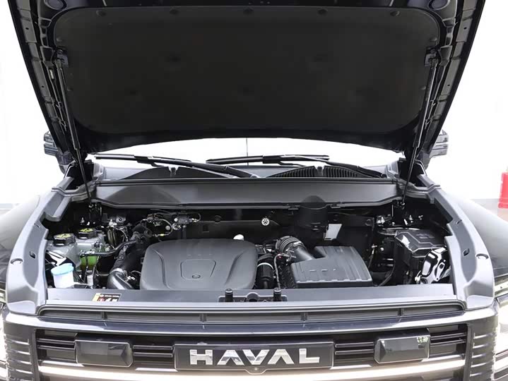 Haval Raptor Hybrid 2026 2026款 Hi4 105 Pro 磷酸铁锂