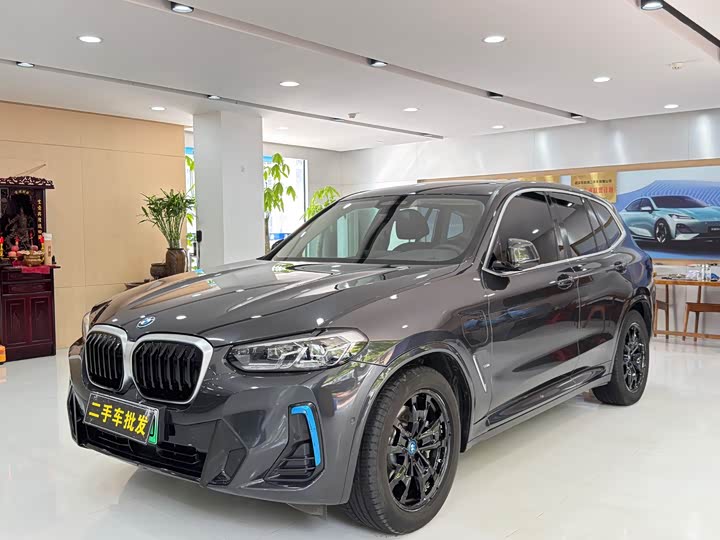 BMW iX3 2022 2022款 领先型