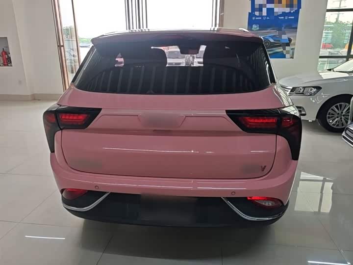 Hozon V 2022 2022款 潮 400 Lite 粉色定制款