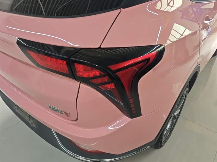 Hozon V 2022 2022款 潮 400 Lite 粉色定制款
